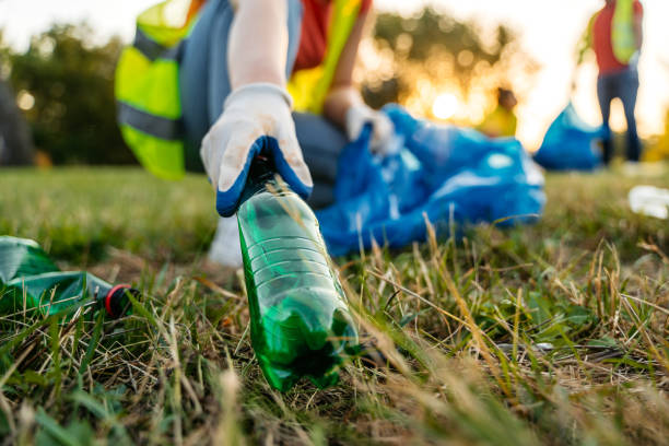Best Yard Cleanup Services  in Elk River, MN